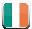 bouton carré irlande