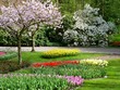 Keukenhof