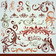 floral design elements
