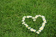 Photo: blumenherz blumenherz