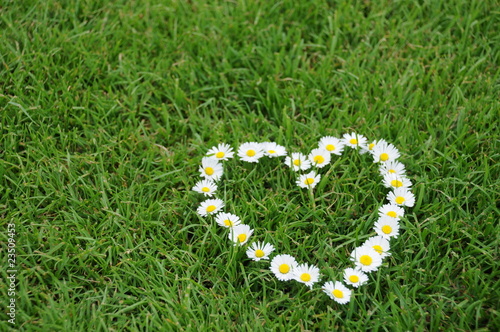 Photo: blumenherz blumenherz