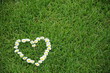 Foto: grün herz gras grün herz gras