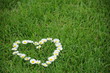 blumen mit herz