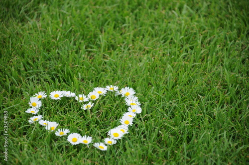 Photo: blumen mit herz blumen mit herz