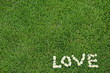 liebe die nicht vergeht