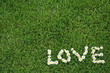 freche liebe