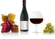 Wine design elements Wine design elements