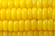 Sweet corn background