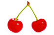 Two cherries isolated on white background Two cherries isolated on white background
