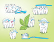 tooth