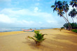 SilverIdyllic beach. Sri Lanka