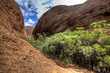 australian outback