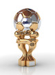 soccer trophy
