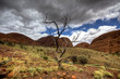 australian outback