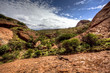 australian outback