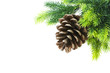 Cone and christmas tree isolated on white