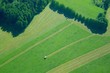 work in the field