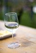 Weinberg im Glas