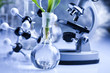 Samples of super grow plants Samples of super grow plants