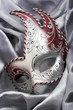 Carnival mask