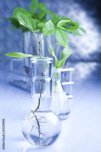 Photo: Eco laboratory Eco laboratory