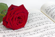 Notenblatt mit roter Rose
