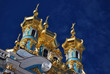 Les bulbes du Palais de Tsarskoye Selo Les bulbes du Palais de Tsarskoye Selo