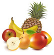 Photo-realistic vector illustration. Big group of fruit.