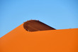 Dune 45