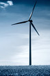Windmill02