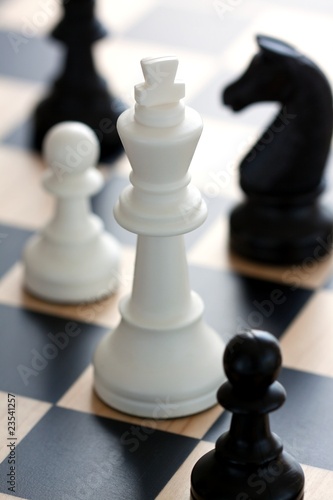 Photo: white king white king
