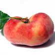 Pêche plate