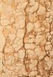 antique marble wall, Florence