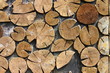 Wood fence
