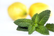Menta