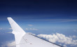 Airplane in the sky