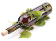 Bottle of wine in the vine on a white background