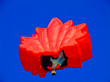 Hot Air Balloon