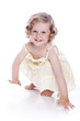 bright picture of baby girl on white bright picture of baby girl on white
