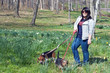 Woman Walking Her Dogs