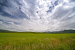 Photo: Green field and blue sky Green field and blue sky