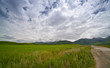 Photo: Green field and the road Green field and the road