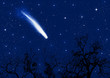 Falling star