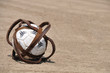 Photos : ballon horse ball