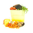 Kitchen compost bucket Kitchen compost bucket