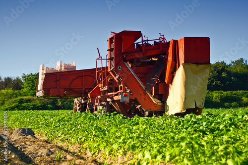 Foto: Kartoffelerntemaschine Kartoffelerntemaschine