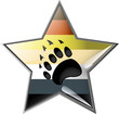 étoile au motif du drapeau "BEAR"