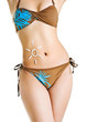 Female body isolated Female body isolated
