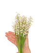 lily of the valley