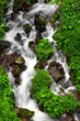 Photographie : torrente - Trentino - Italy